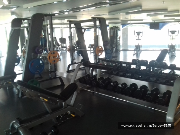 photo 1518596