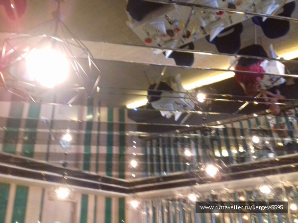 photo 1518716