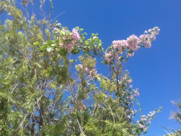 photo 1546393