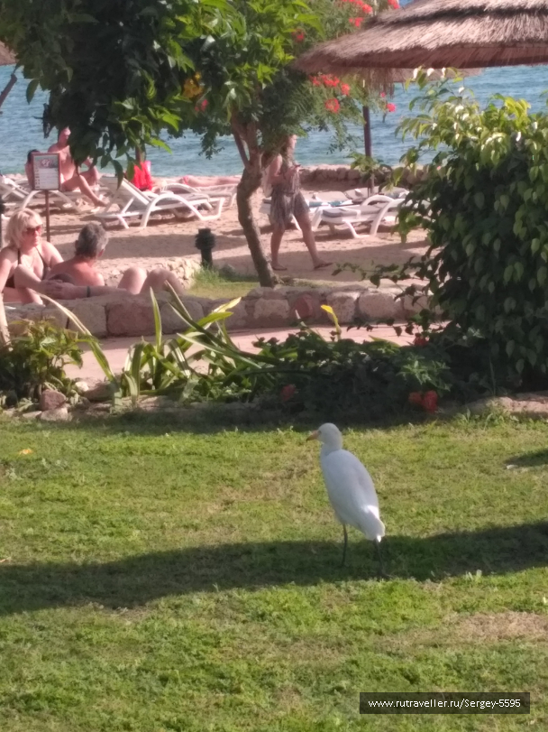 photo 1600642