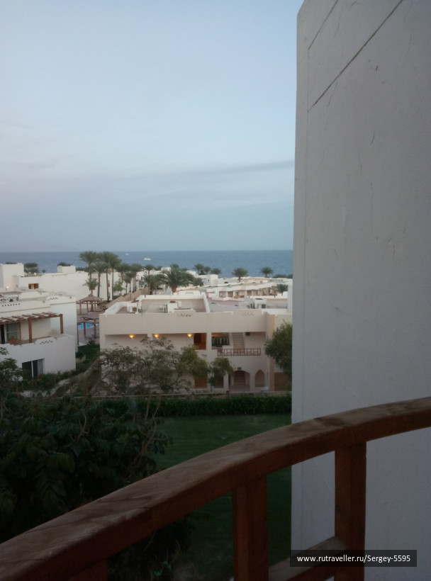 photo 1601521