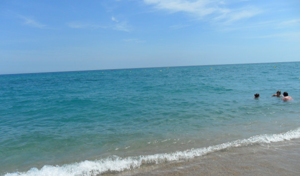 SAM_3452