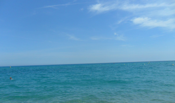 SAM_3453
