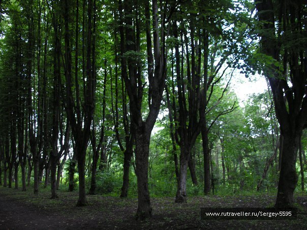 photo 1584043