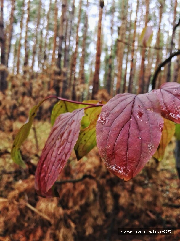 photo 1584716