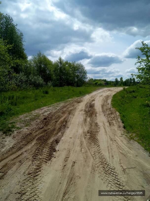 photo 1585114