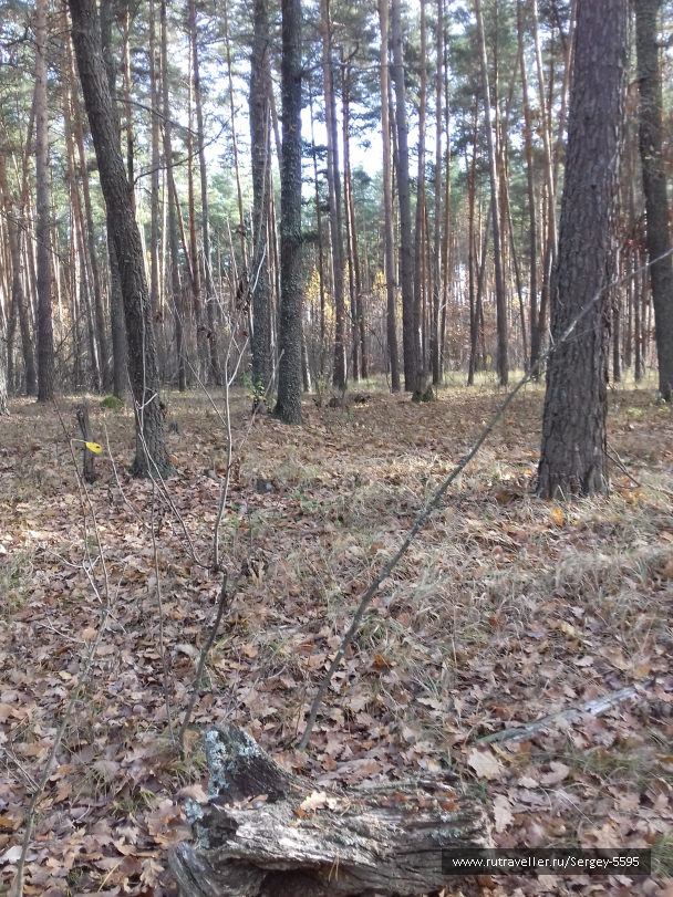 photo 1699083