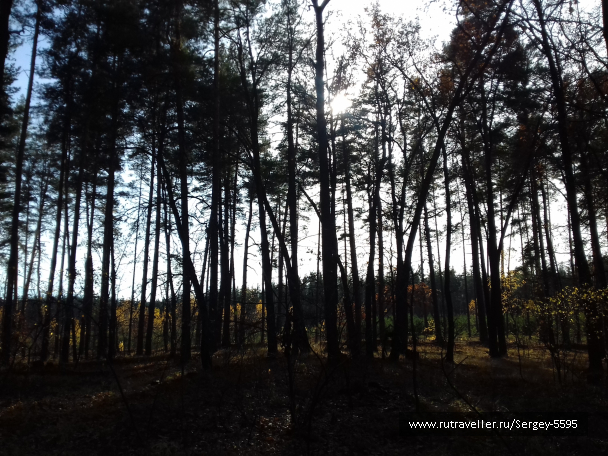 photo 1699084