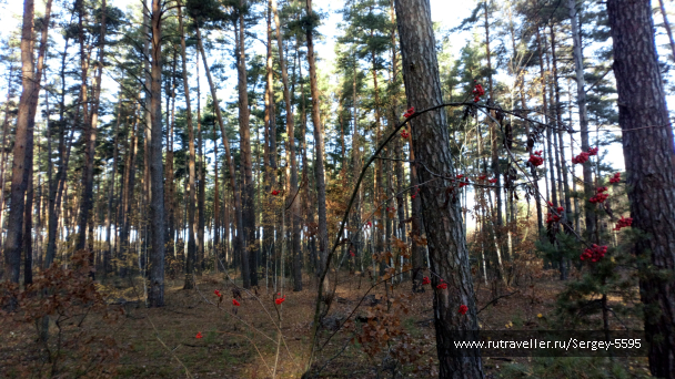 photo 1700112