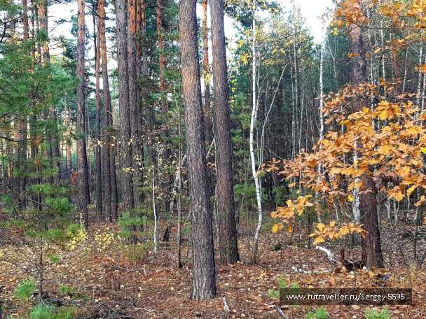 photo 1977884