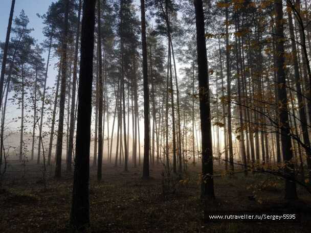 photo 1977968