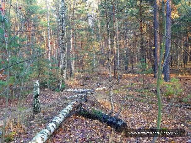 photo 1978952