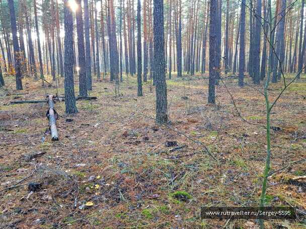 photo 1979714