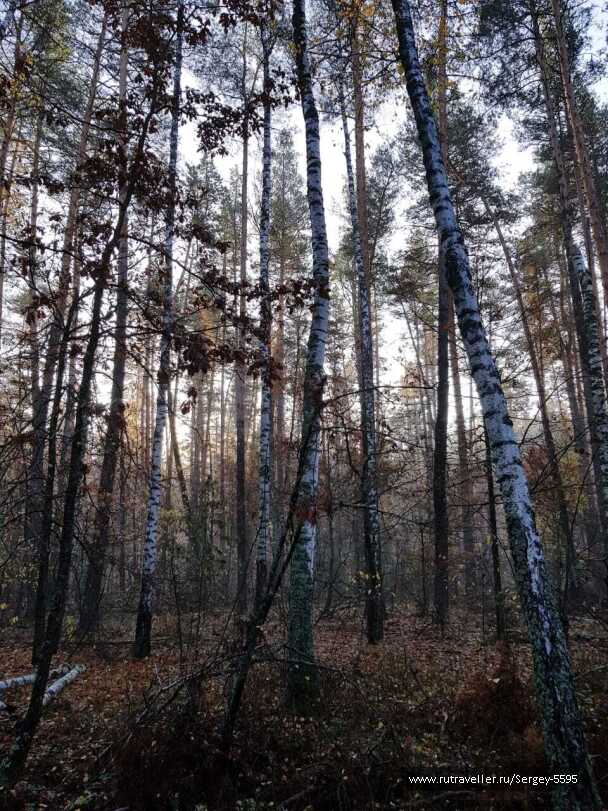 photo 1993284