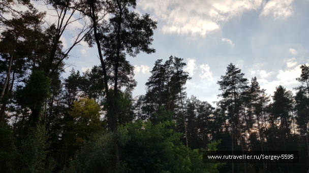 photo 2024133