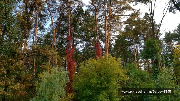 photo 2024262