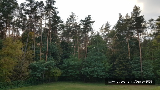 photo 2024394