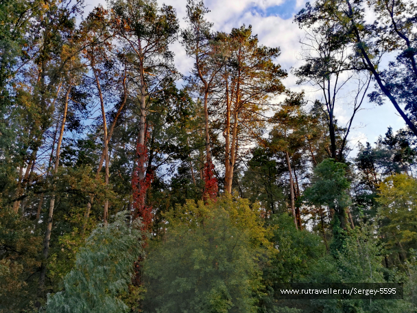 photo 2024556