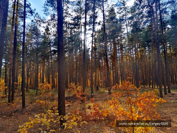 photo 2027510