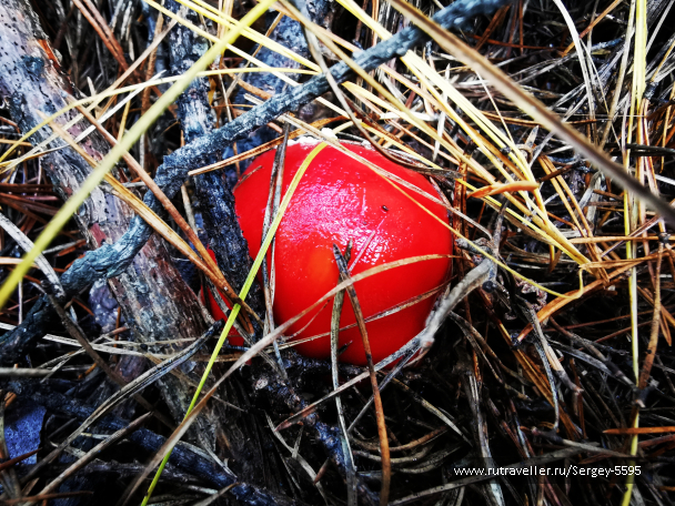 photo 2027536