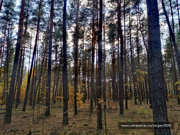 photo 2027908