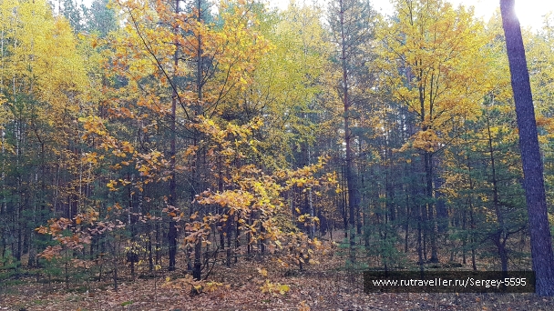 photo 2028008