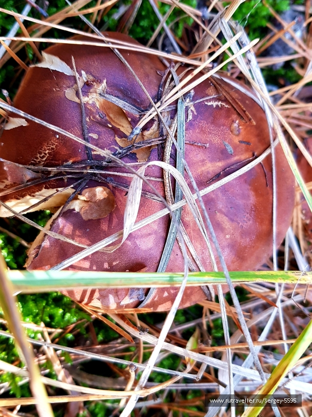 photo 2028318