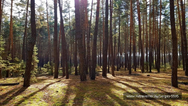 photo 2028623