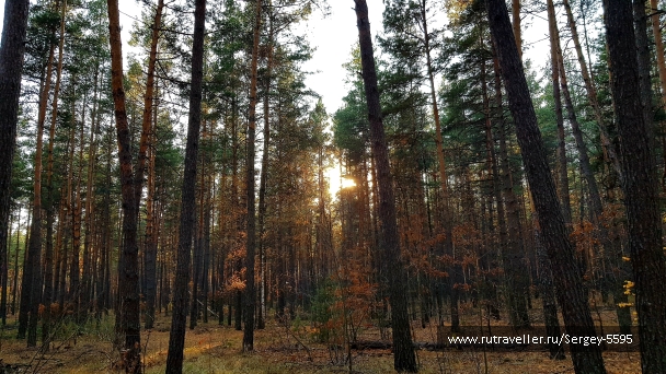photo 2029256