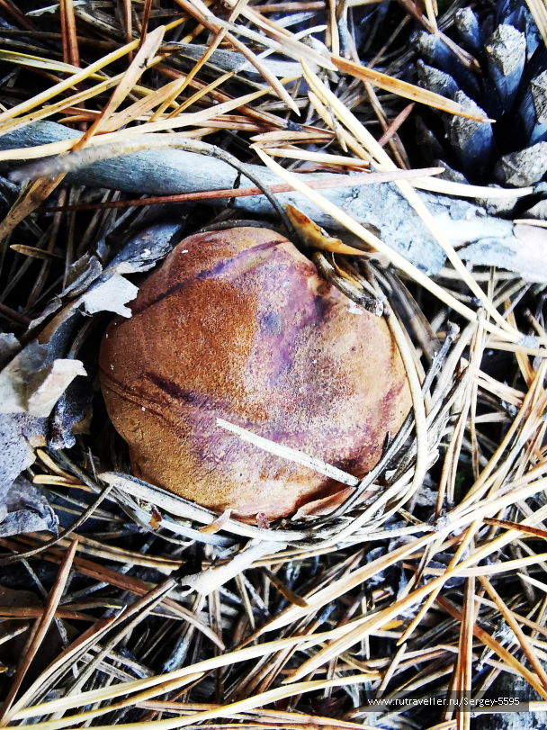 photo 2029440