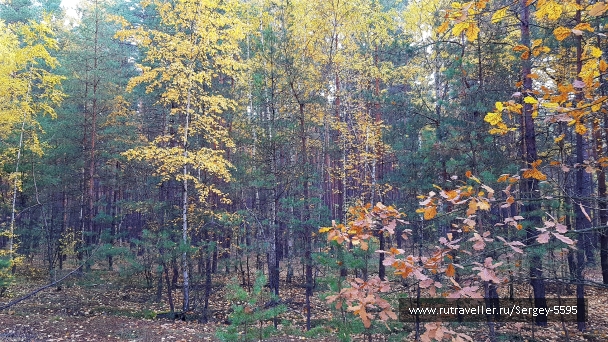 photo 2029670