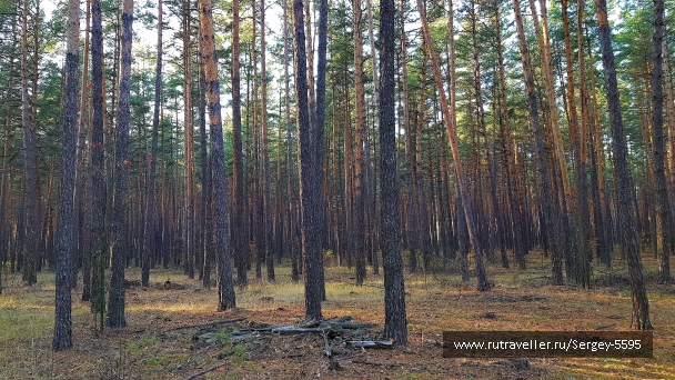 photo 2029790