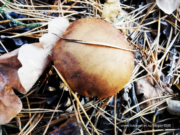 photo 2029801