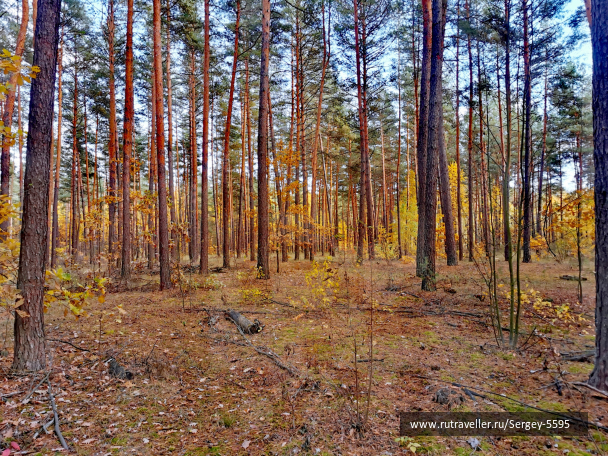 photo 2030364