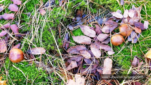 photo 2030840