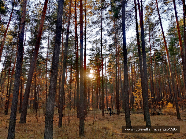 photo 2031923