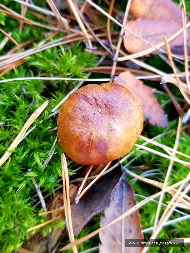 photo 2032122