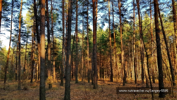 photo 2032185