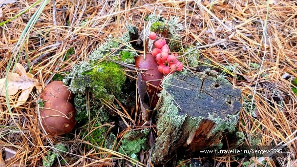 photo 2032352