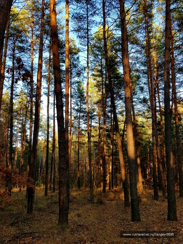 photo 2032511