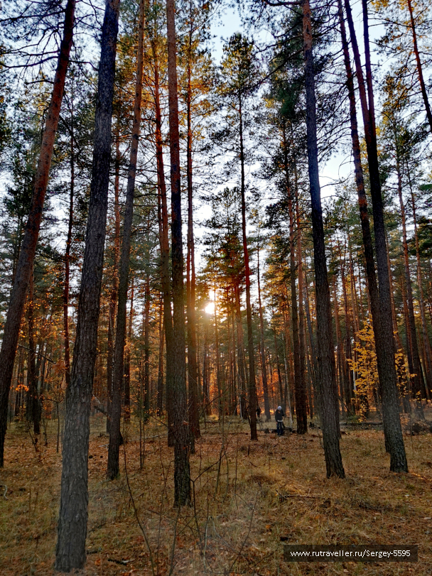 photo 2032805