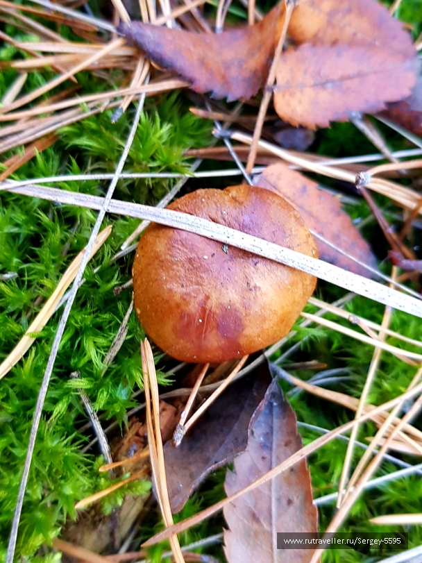 photo 2032861