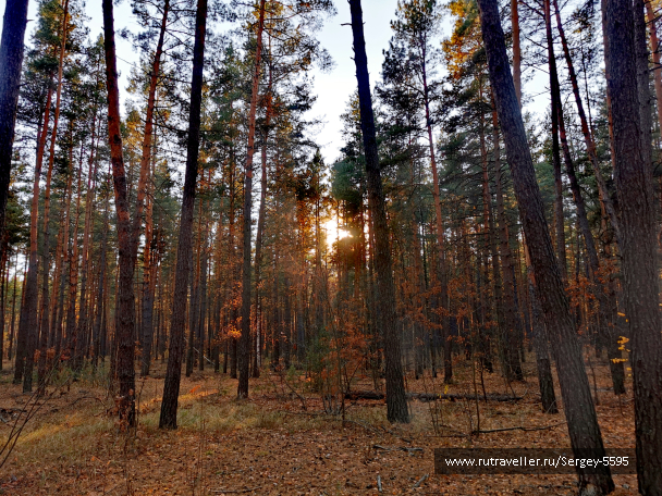 photo 2033377