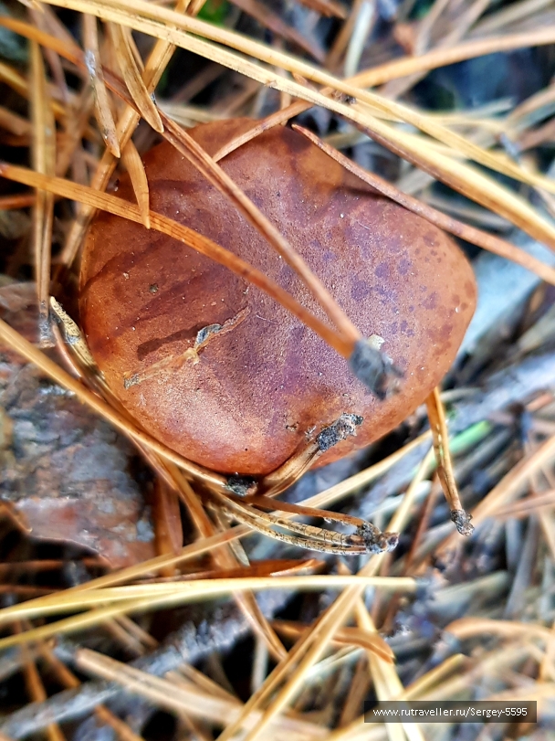 photo 2033413