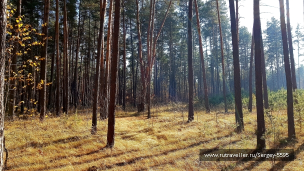 photo 2033654