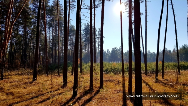 photo 2033698
