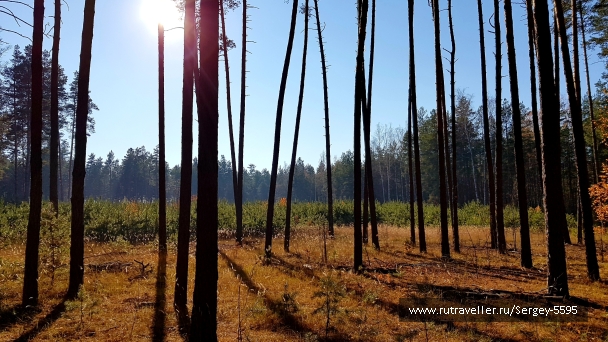 photo 2033925