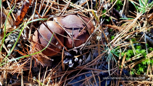 photo 2034069