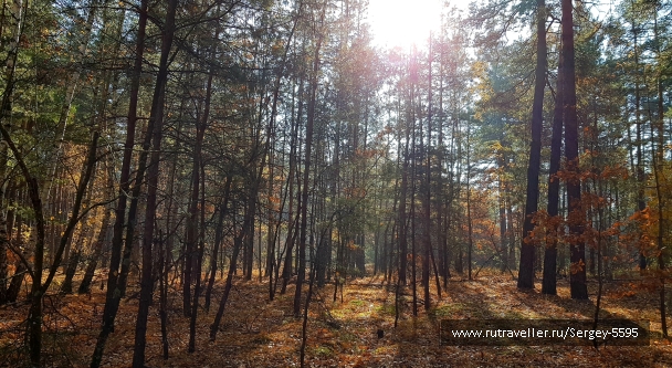 photo 2034229