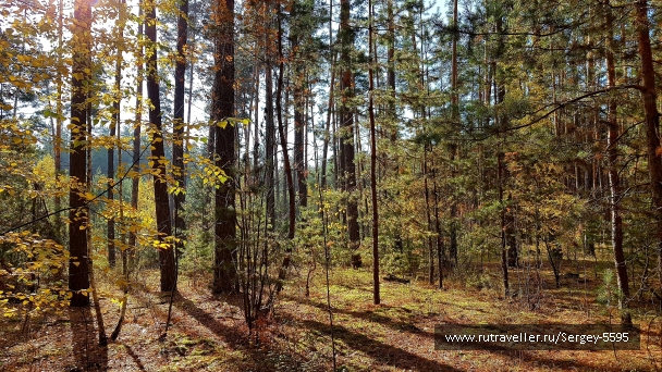 photo 2038688
